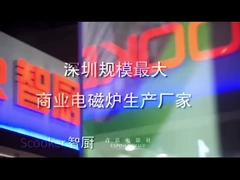 Introduzione della società